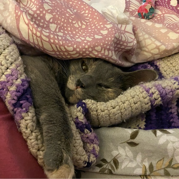 Meet your Posher, Beth - Picture 4 of 11